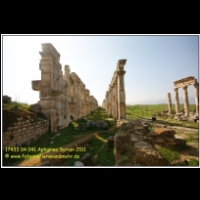 17433 04 041 Aphamea Syrien 2011.JPG